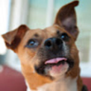 Meet your Posher, Kelsi